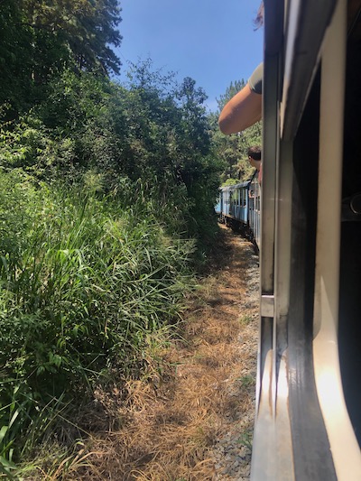 A photo of me on a train in Sri Lanka